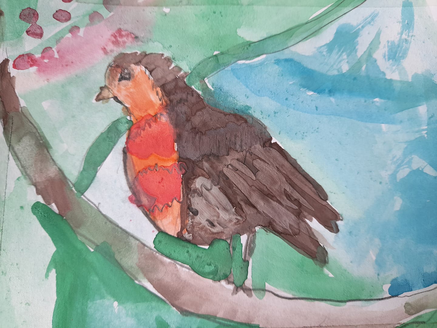 Robin