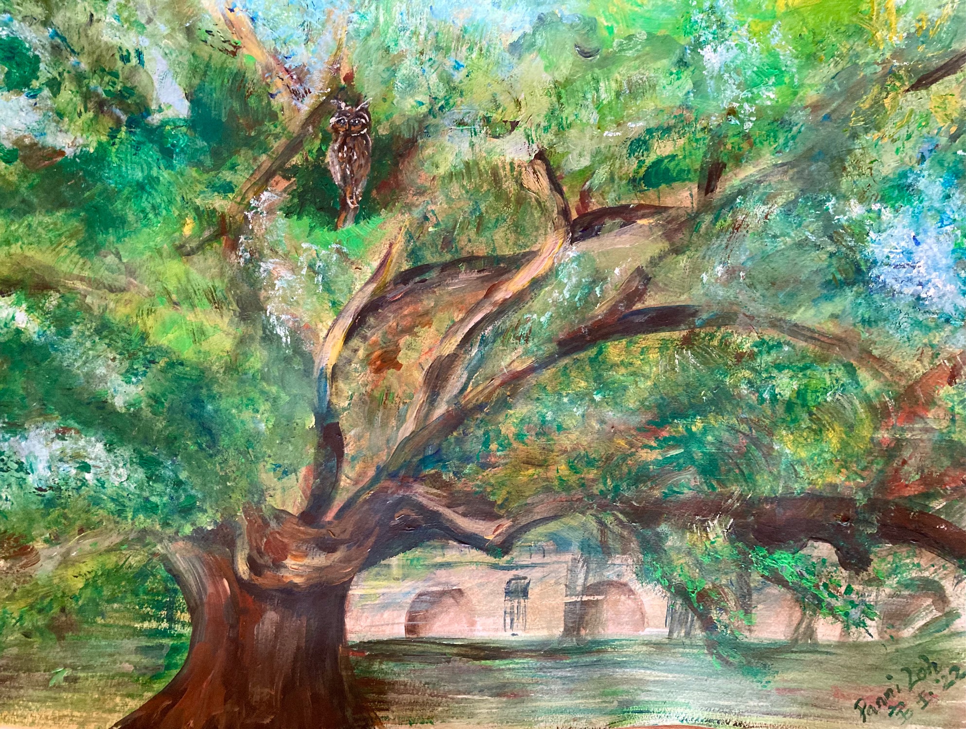Under The Raintree PPYLoh 1.3MB Copy