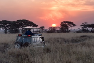 Thumbnail Hu Chen Safari