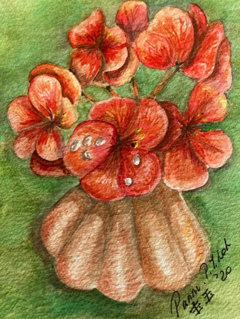 Geranium In Vase Panni Loh