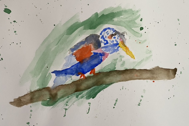 Kingfisher Angus CHILD